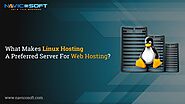 What Makes Linux Hosting a Preferred Server for Web Hosting?