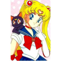 Classical Sailor Moon Tsukino Usagi Cosplay Wig -- CosplayDeal.com