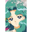 Sailor Moon Kaiou Michiru Sailor Neptune Cosplay Wig -- CosplayDeal.com