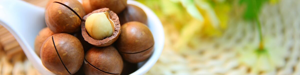Nuts and Seeds to Keep Your Health in Check – The Perfect Snack
