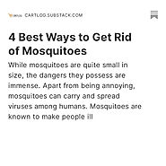 4 Best Ways to Get Rid of Mosquitoes - Cartlog’s Substack