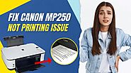 Fix Canon MP250 Not Printing Issue