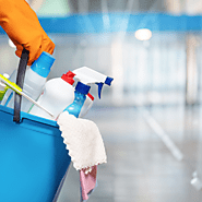 The Importance of Professional Cleaning Services for Your Business - Peggy Wester