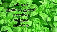 இனிப்பு துளசி வளர்ப்பு மற்றும் நன்மை(STEVIA PLANT USES AND GROW)