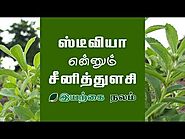 Unavu Nalam: சீனி துளசி | இனிப்பு துளசி பயன்கள் | Stevia in Tamil