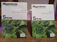 Starting Stevia from seed tips you need to know Straight to The Point