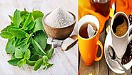 1-48 of over 1,000 results for "Stevia Plant" Sort by: Featured Price: Low to High Price: High to Low Avg. Customer R...