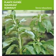 Stevia seeds for Sale! Buy Stevia seeds online