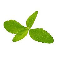 Stevia Leaf at Best Price in India