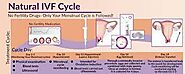 Make your Natural IVF Cycle Reality. – NaturalCycleIVF