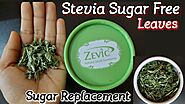 Zevic Stevia Sugar Free Leaves Review | Stevia - Lose Weight Fast| Sugar Substitute