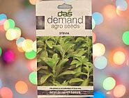 Buy Demand Agro Stevia Seeds (1 KGP) - Rs 99/- sale online India