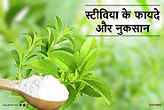 Stevia Benefits and Side Effects in Hindi - स्टीविया के फायदे और नुकसान | Lybrate