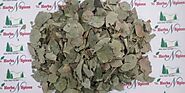 Herbal Leaves - Sheesham Leaves - Dalbergia Sissoo. Manufacturer from Neemuch