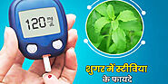 Stevia Benefits in Hindi In Diabetes | डायबिटीज में ब्लड शुगर कंट्रोल करने के लिए स्टीविया या मीठी तुलसी के फायदे और ...