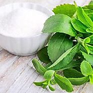 Stevia Powder Latest Price from Manufacturers, Suppliers & Traders