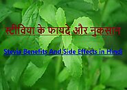 स्टीविया के फायदे और नुकसान – Stevia Benefits And Side Effects in Hindi -