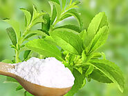 stevia ki kheti: Medicinal Plants Farming: Stevia का उपयोग डायबिटीज (मधुमेह) रोगियों के लिए किया जाता है - Economic T...