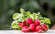 The Health Benefits of Eating Radishes