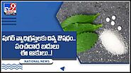 SteviaLeaves : షుగర్ వ్యాధిగ్రస్తులకు దివ్య ఔషధం.. పంచదార బదులు ఈ ఆకులు..!(వీడియో) | Stevia leaves Health benefits an...