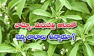 health benefits of stevia leaves health, benefits of stevia leaves, latest news, health tips, good health, madhupatri...