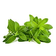 Stevia Leaves – Earth Root