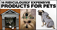 14 Ridiculously Expensive Pet Products | Incredible Things