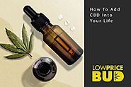 How To Add CBD Into Your Life - Low Price Bud