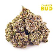 Buy Craft Cannabis Online in Canada | Low Price Bud