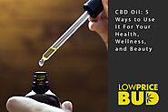 CBD Oil: 5 Ways to Use It For Your Health, Wellness, and Beauty - Low Price Bud