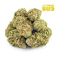 Buy Quality AAAA Weed Online in Canada - Low Price Bud
