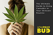 The Ultimate Guide to Using Cannabis in Your Skincare Routine - Low Price Bud