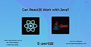 Can ReactJS work with Java ? - Answered By Jignen Pandya