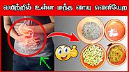 மந்த வாயு நீங்க | Gas problem in Stomach | Gastric Problem Solution in Tamil | Tamil | Thanithuvamm