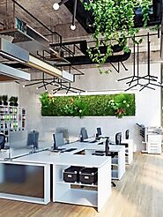 Biophilic office design ideas to boost workplace wellness - Officebanao