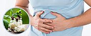 Top 7 Homeopathic Medicines for Indigestion & Gas- Schwabe India