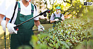 Which Organic Pest Control Is Right for Your Garden?