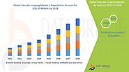 Vascular Imaging Market Opportunities, Challenges, Covid-19 Impact, Growth Rate