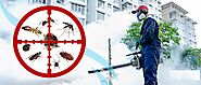Professional Pest Control Services | Pest Control Treatment - Top Classic Pest UAE