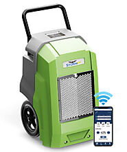 Best Dehumidifiers for Basements and Crawl Spaces | WOW Hardware