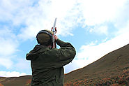 exclusivelyscottish.com proudly presents Driven Shooting in the Borders of beautiful Scottish
