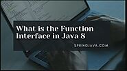 What is the Function Interface in Java 8