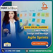 Acquire the best agile training at H2k Infosys