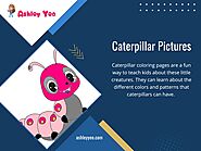 Caterpillar Pictures