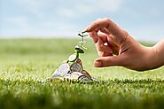 Save N Grow: Empowering Your Financial Future