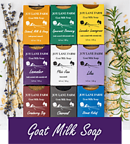 Buy The Best Organic Body Soaps And Lotions Online - NHMade | NHMade