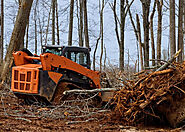 Tree Removal - P.J.G. Property Maintenance Inc.