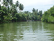 Madu Ganga River Safari
