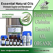Order Now! Eucalyptus Globulus Essential Oil, ORGANIC