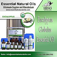 Order Now! Eucalyptus Globulus Essential Oil, ORGANIC